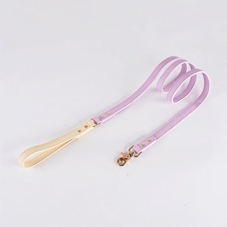 Genuine Leather Dog Collar Kit Leash Purple Standard