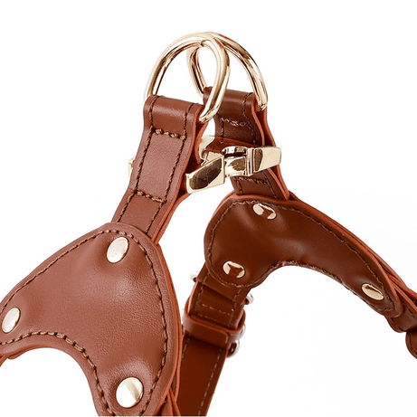 Hoop Vegan Leather Dog Harness Kit