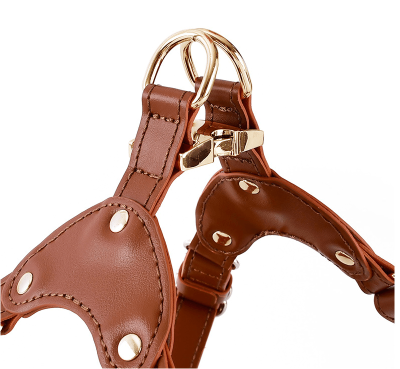 Hoop Vegan Leather Dog Harness Kit