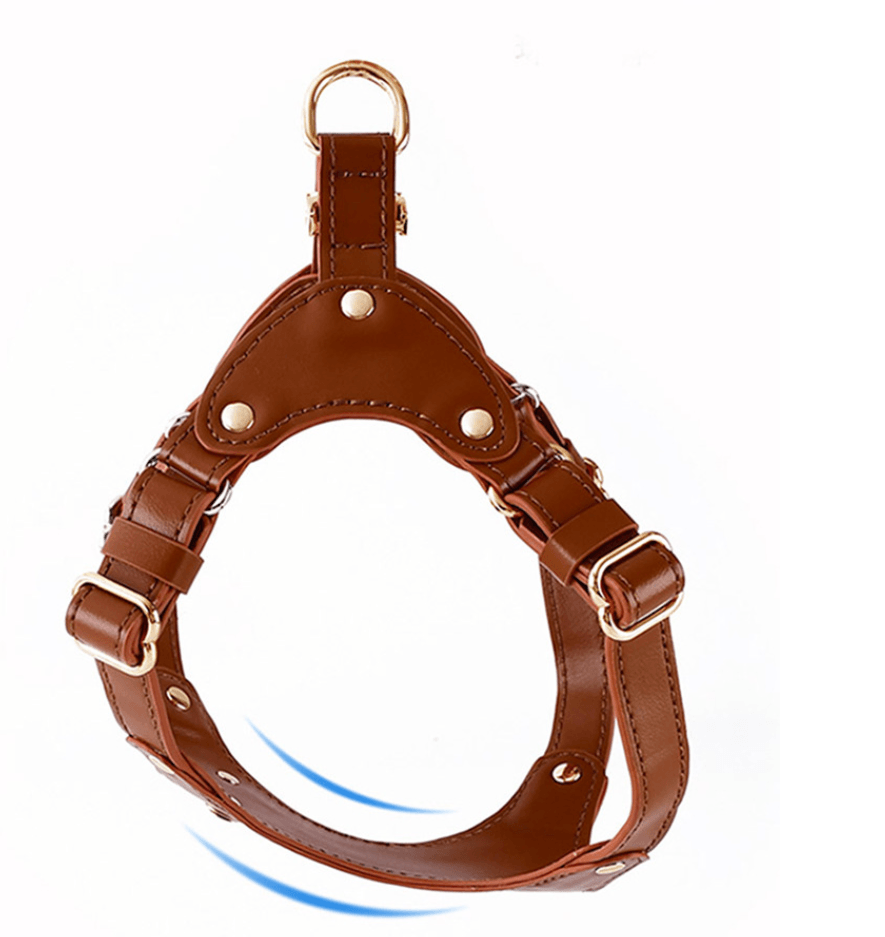 Louis Pup Leather Harness and Leash Set, Paws Circle