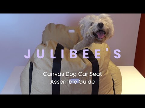 Step by Step Guide How To Assemble Dog Car Seat