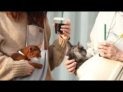 Superlight Pet Sling Carrier Bag