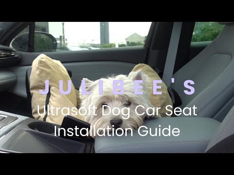 UltraSoft Hunde-Autositz-Reisebett für kleine und mittelgroße Hunde –  Julibee's