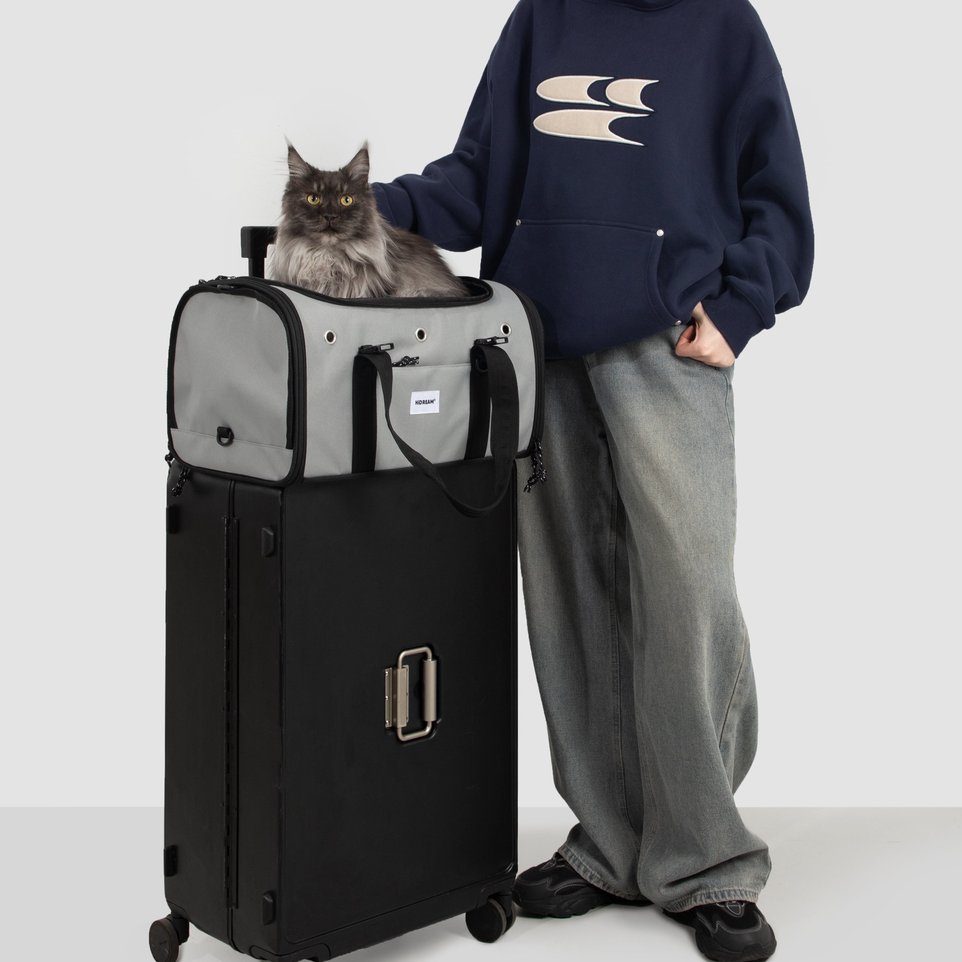 Gray cat in UrbanTrail foldable pet airline travel carrier, designed for safe and convenient air travel.